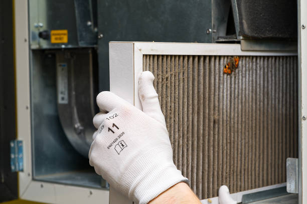 Best Ductwork Cleaning Services  in Decatur, AL